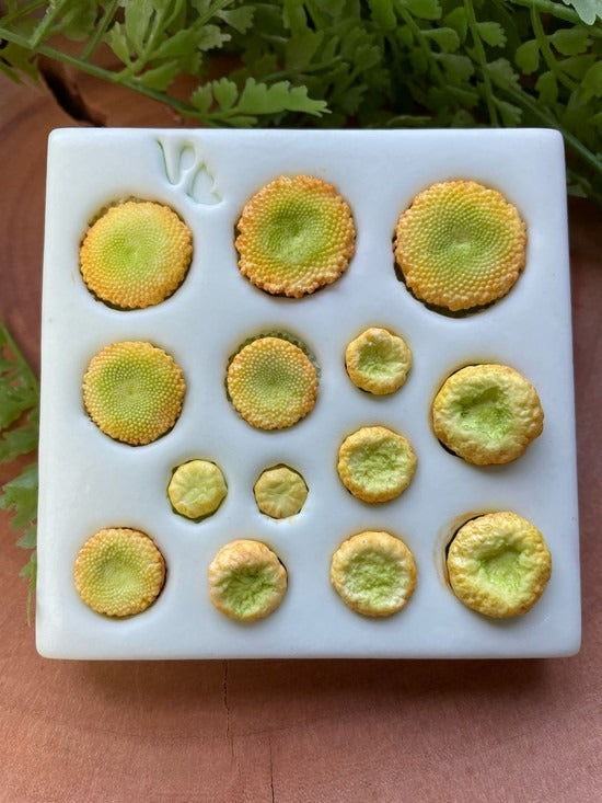 Molde centro de flores