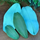 Molde para marcar hojas de orquidea, ideal para flores en tartas de bodas o eventos especiales